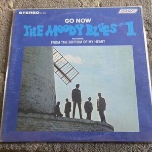 The Moody Blues Go Now Vinyl Record Album Pristine Condition.